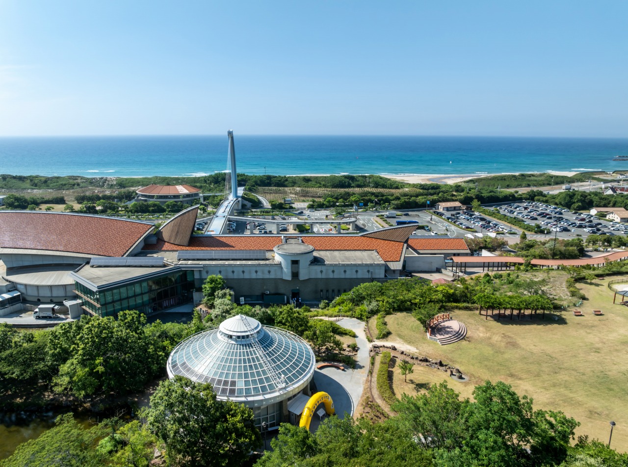 アクアスキッズハウス